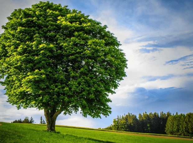 全ての供養が叶う